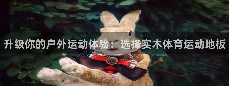 bsport体育网登录入口：升级你的户外运动体验：选择实木体育运动地板